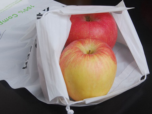 Compostable shopping bag
