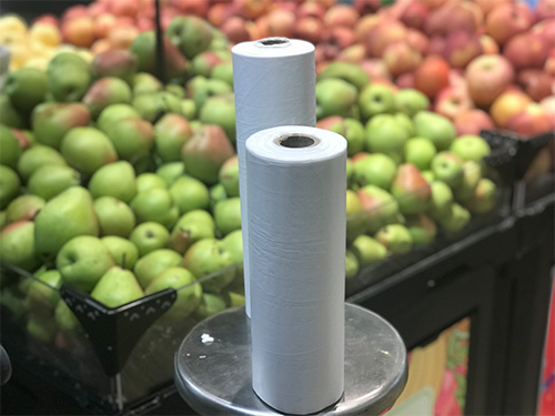 Compostable shopping bag