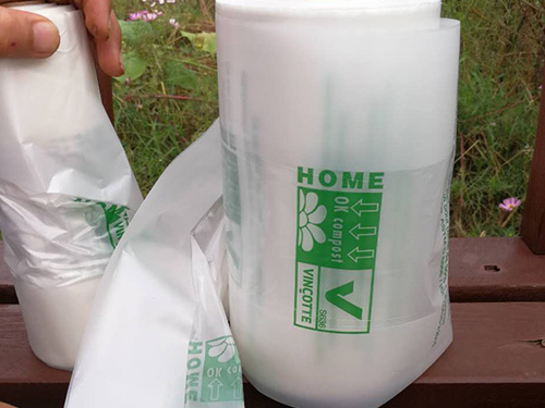 Compostable shopping bag