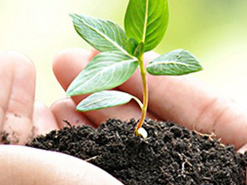 With a variety of green and environmental products in the market