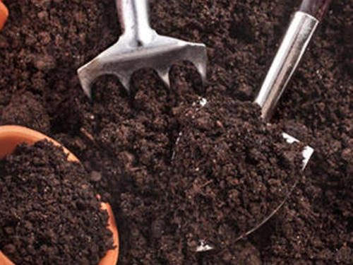 The garbage become organic fertilizer by composting